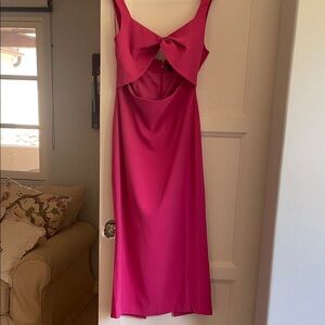 Bardot Fuchsia Backless Dress